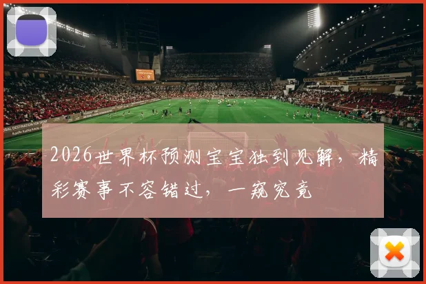 2026世界杯预测宝宝独到见解，精彩赛事不容错过，一窥究竟