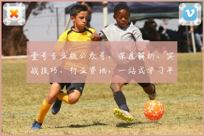壹号专业版公众号，深度解析、实战技巧、行业资讯，一站式学习平台，助力您成长