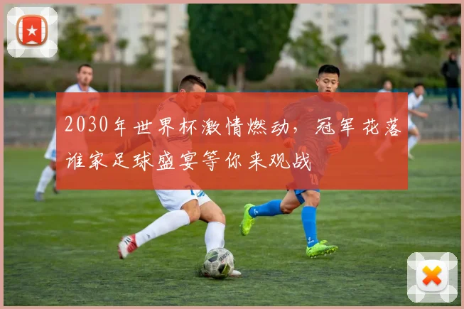 2030年世界杯激情燃动，冠军花落谁家足球盛宴等你来观战