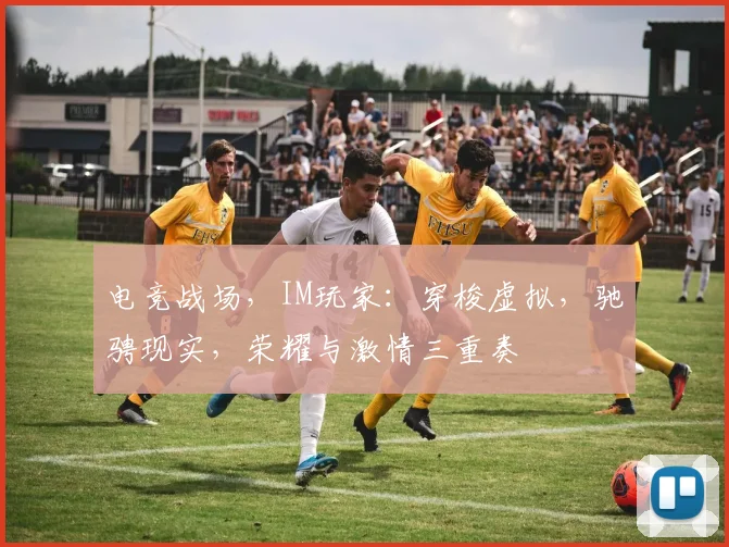 电竞战场，IM玩家：穿梭虚拟，驰骋现实，荣耀与激情三重奏